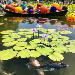 Meet your Posher, Missy